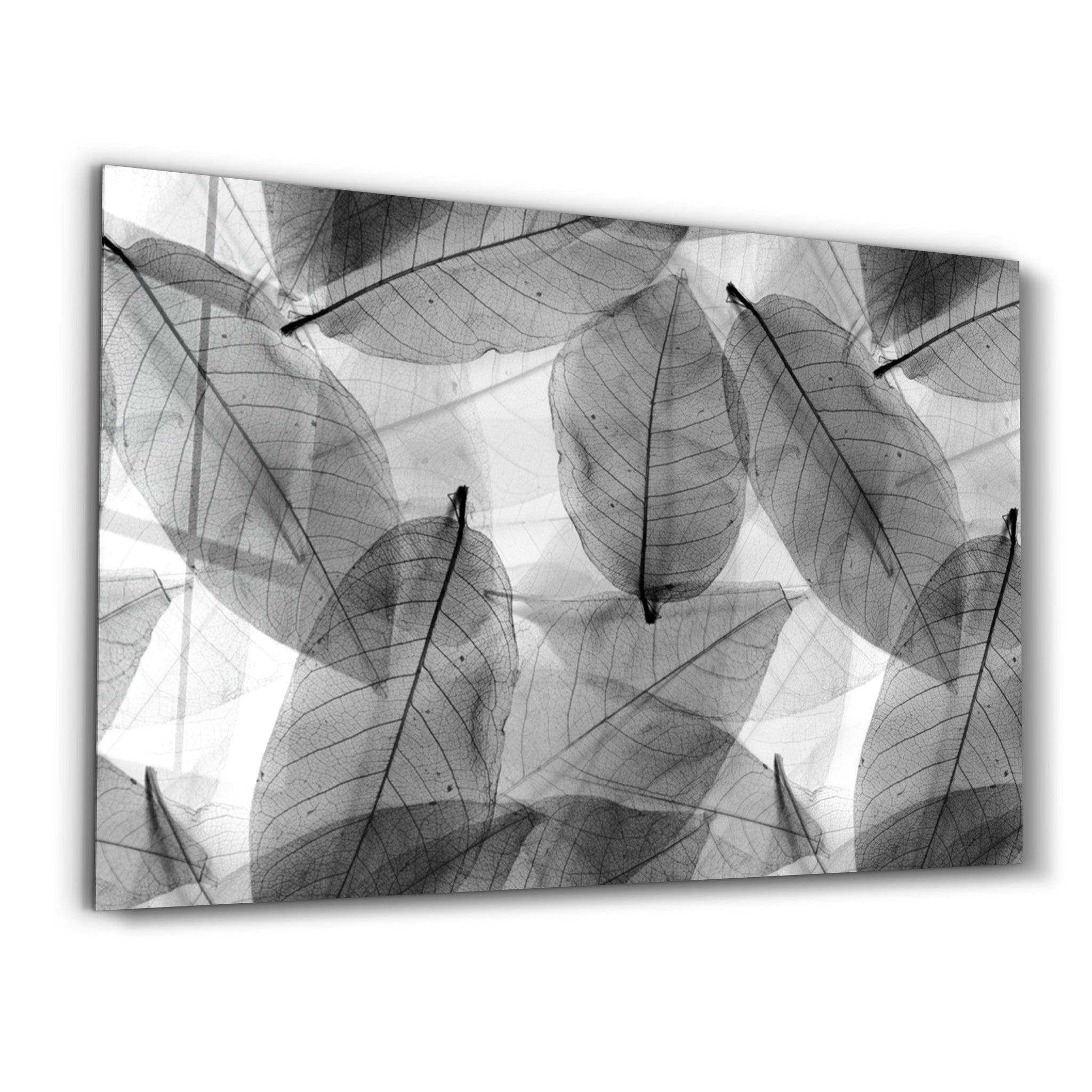 Black - White Leaves | Glass Wall Art - Artdesigna