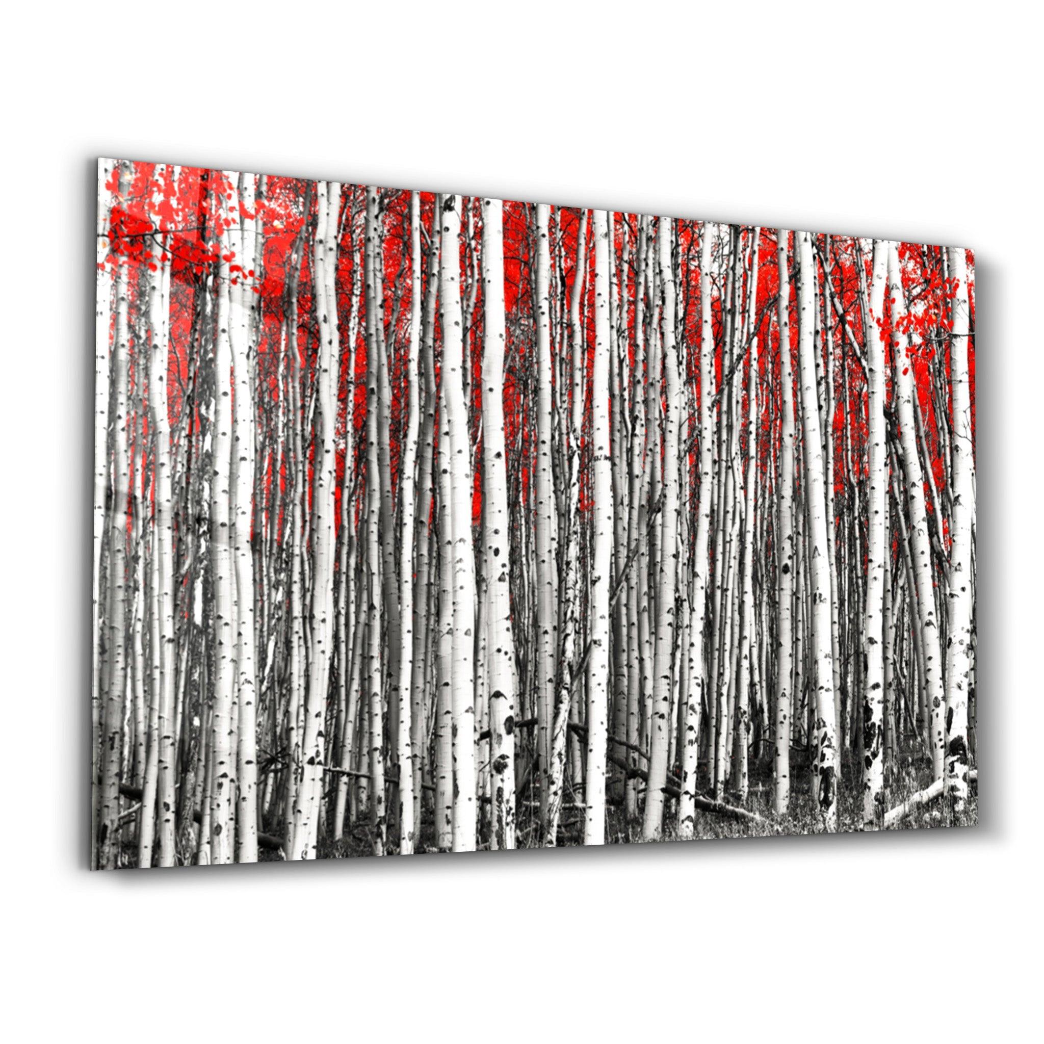 Big Red Forest | Glass Wall Art - Artdesigna