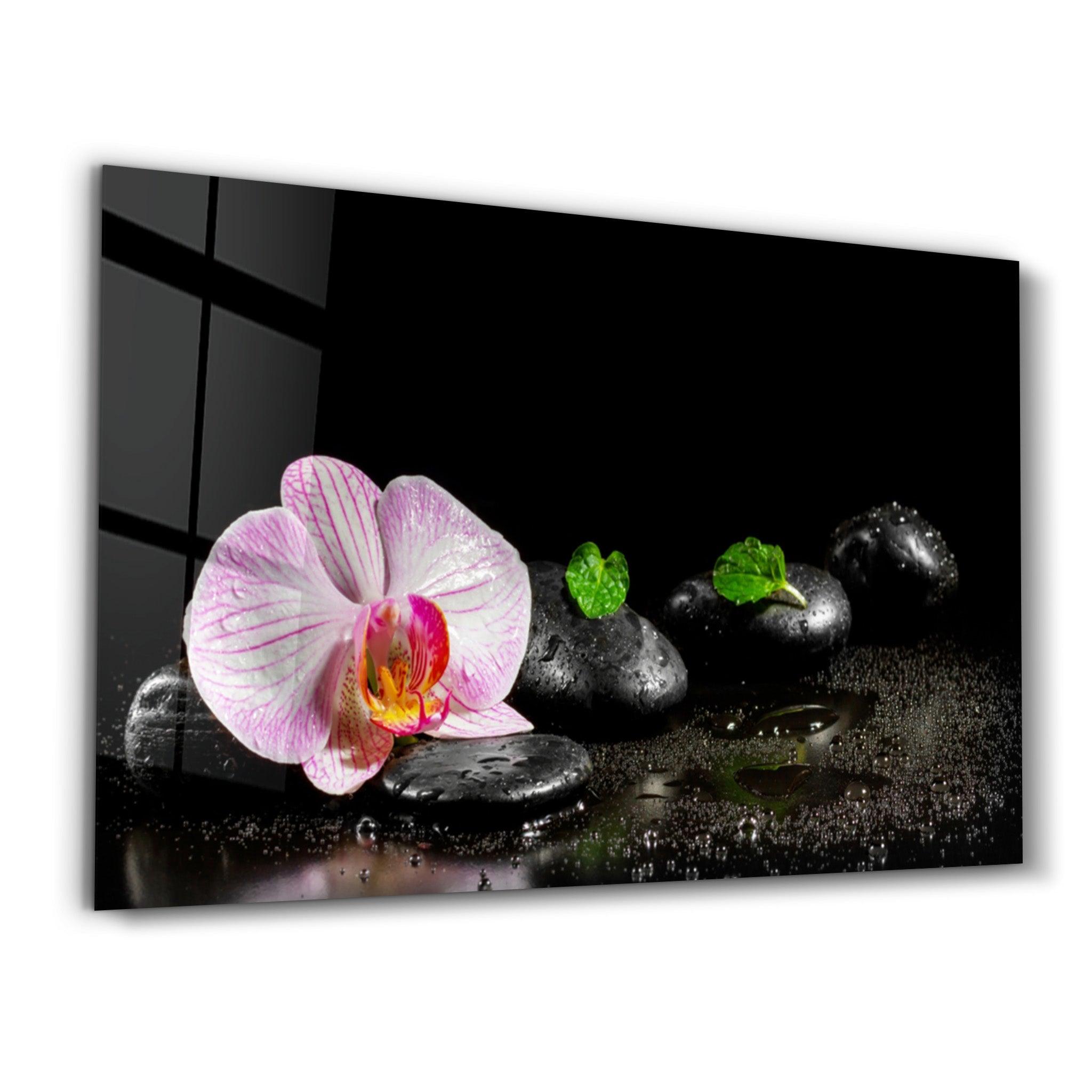 Spa 3 | Glass Wall Art - Artdesigna