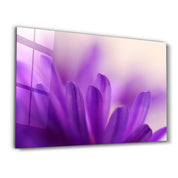 Violet Dream | Glass Wall Art - Artdesigna