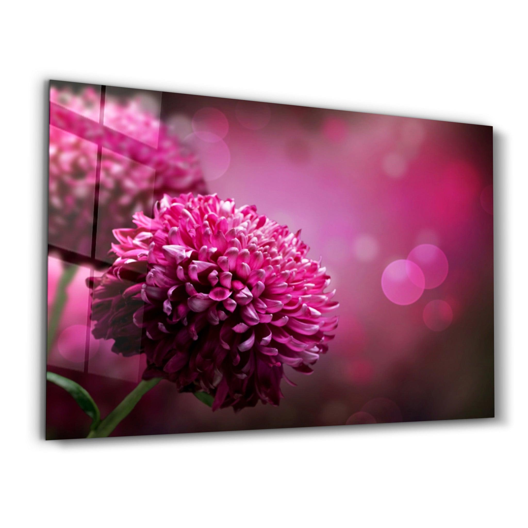 Blossom Radiance | Glass Wall Art - Artdesigna