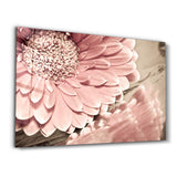 Petal Reflection | Glass Wall Art