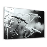 Whispers of the Field | Glass Wall Art