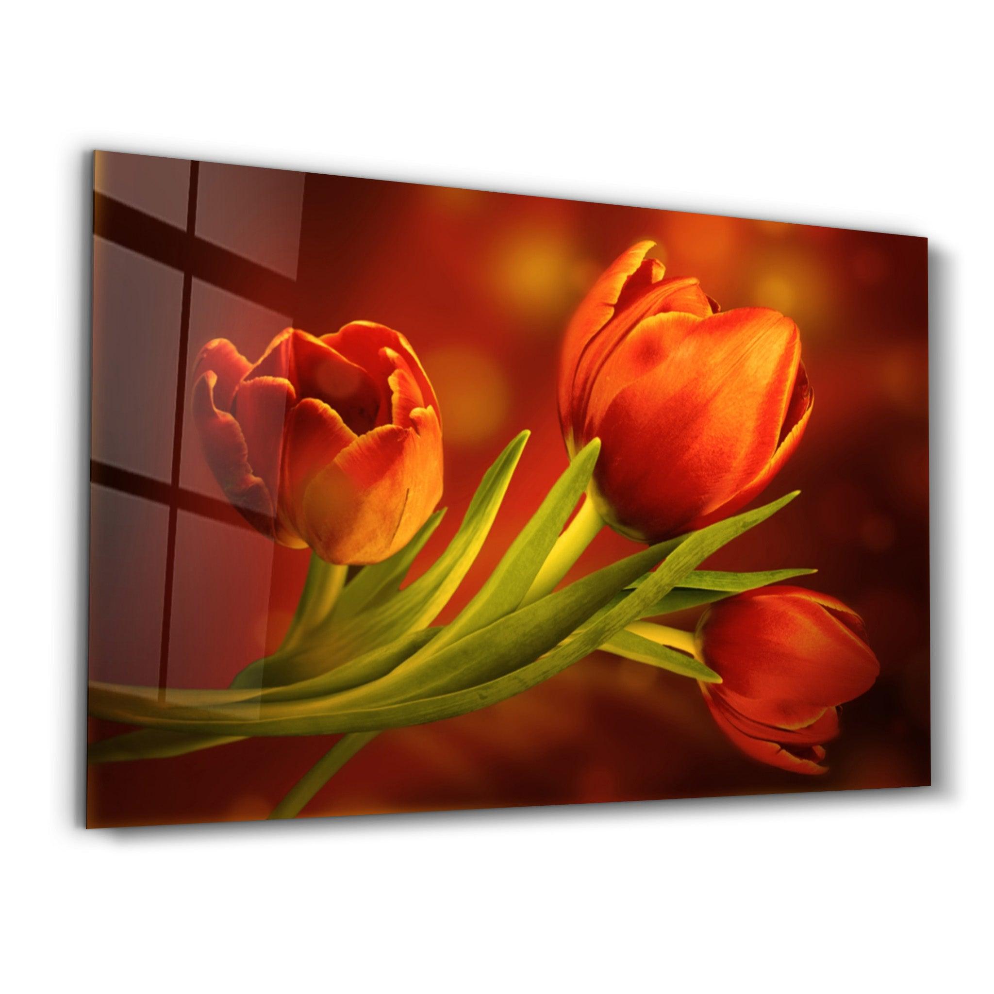 Embers of Spring | Glass Wall Art - Artdesigna