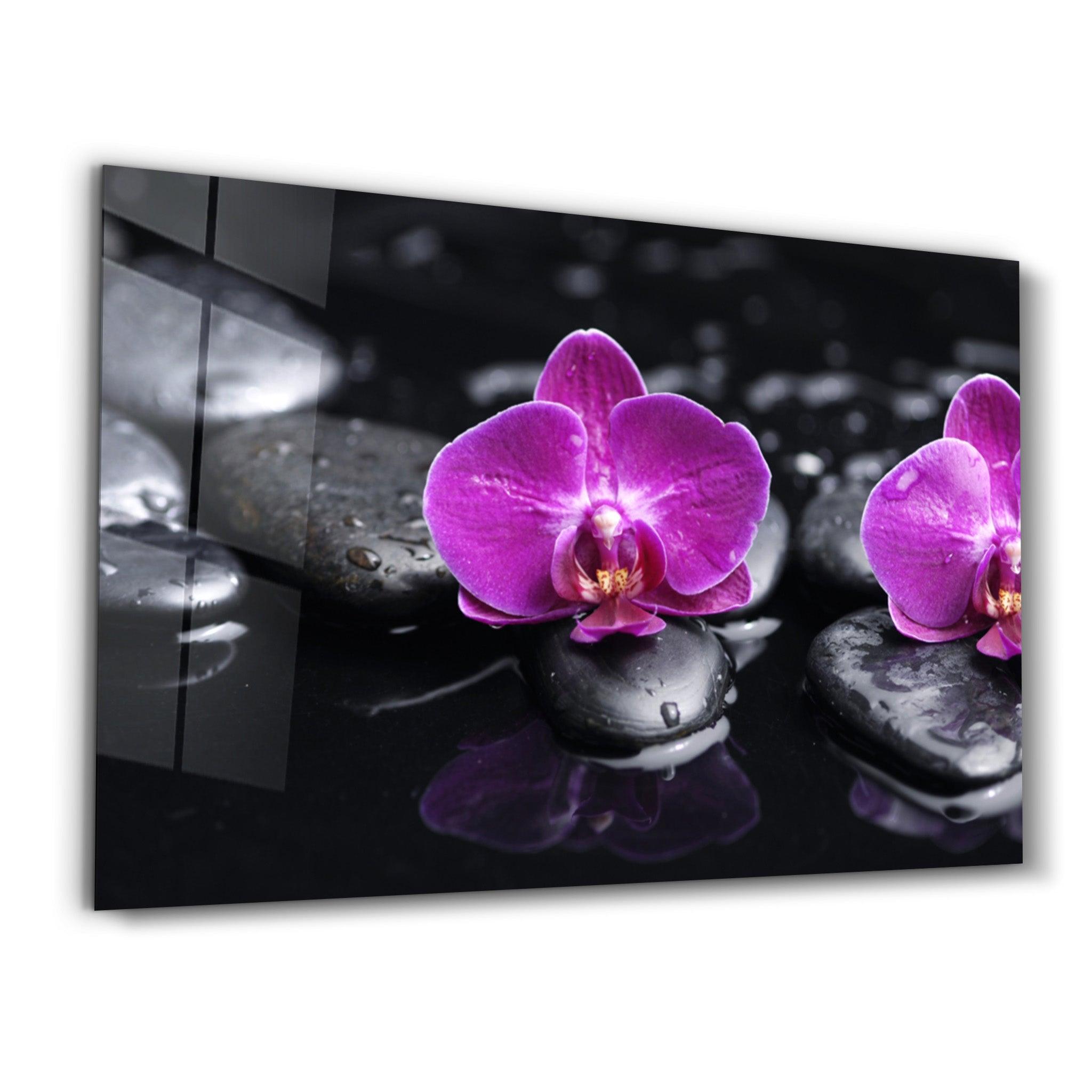 Orchid | Glass Wall Art - Artdesigna