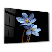 Blue Flower | Glass Wall Art - Artdesigna