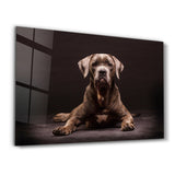 Dog | Glass Wall Art