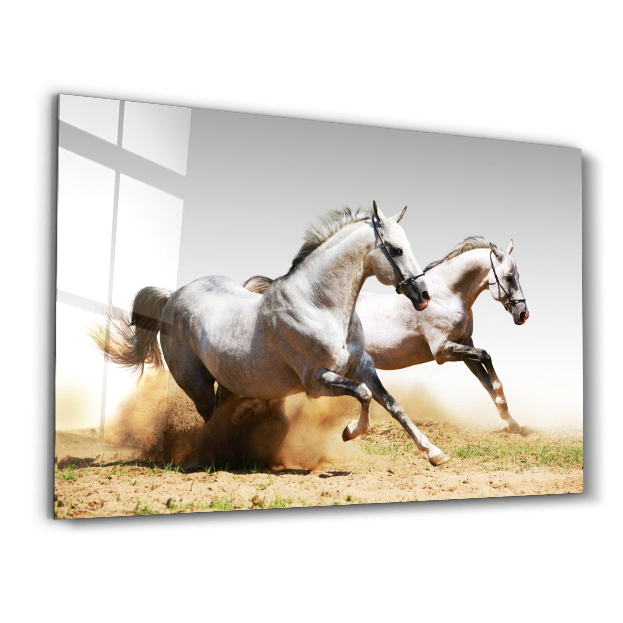 Running Horses | Glass Wall Art - Artdesigna