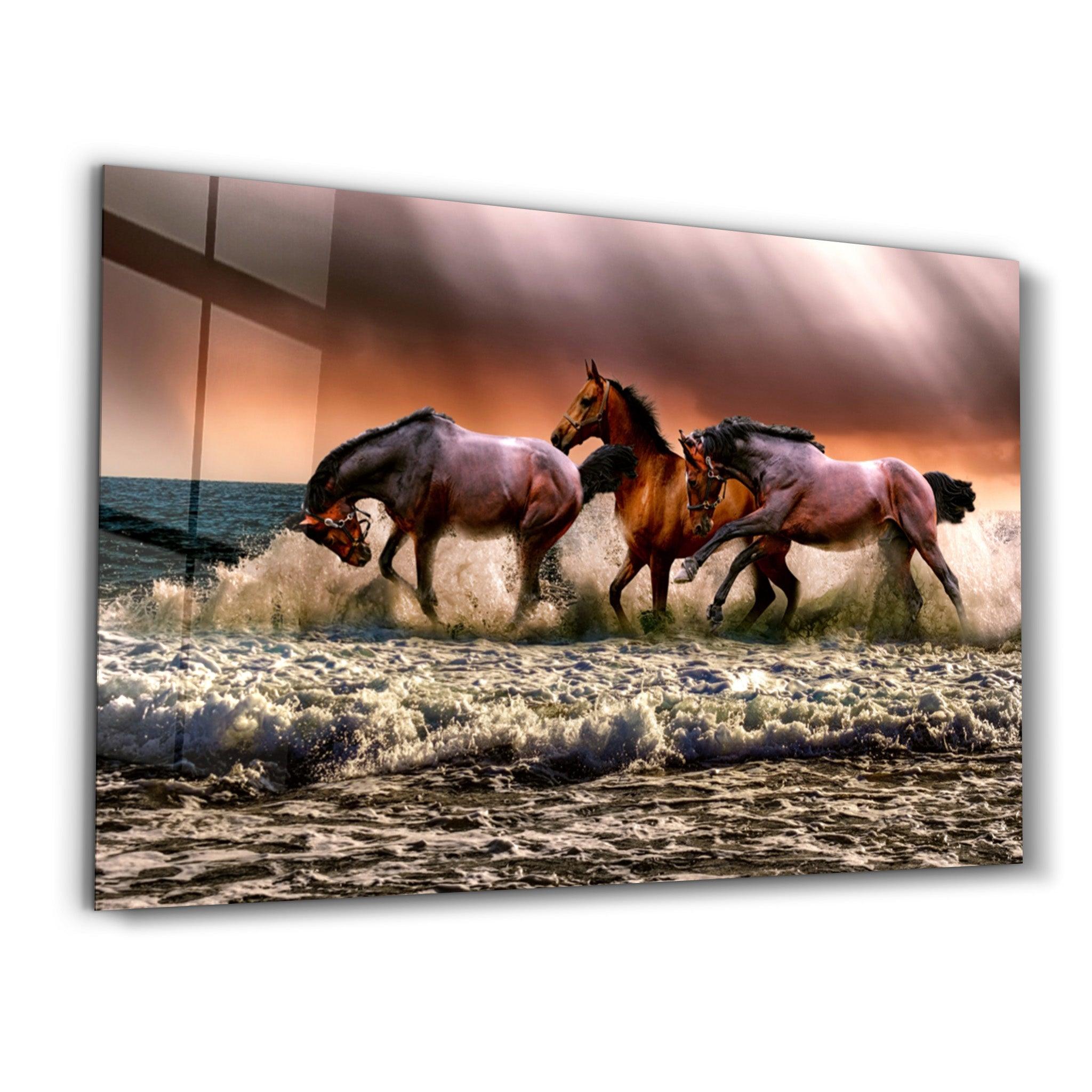 Horses | Glass Wall Art - Artdesigna