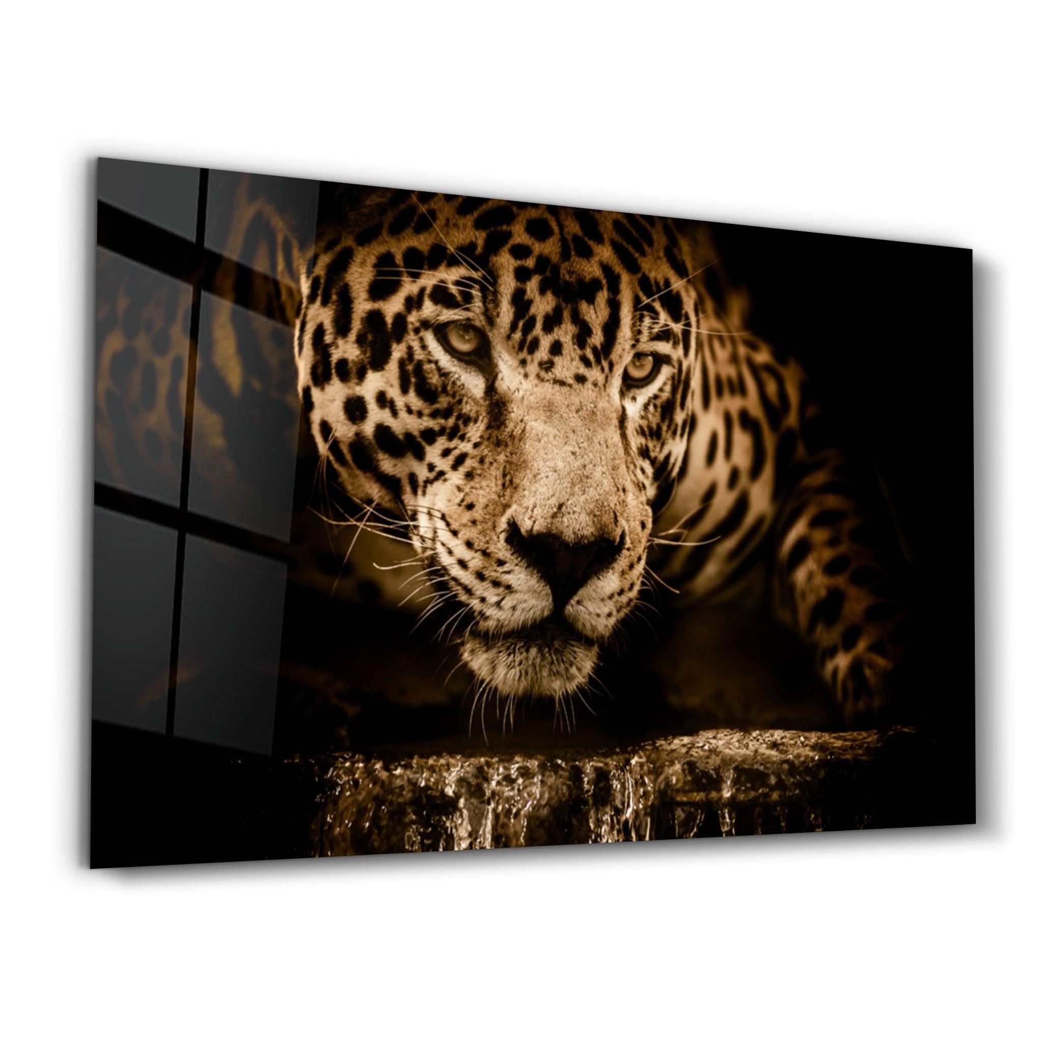 The Watchful Leopard | Glass Wall Art - Artdesigna