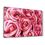 Pink Rose | Glass Wall Art - Artdesigna