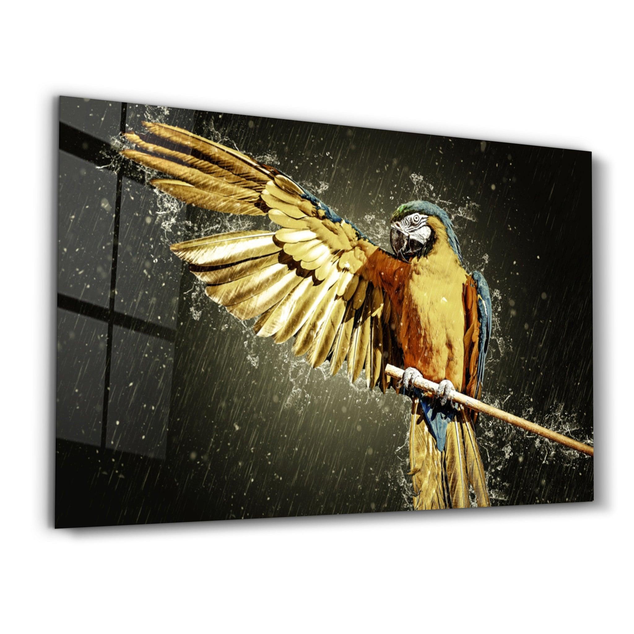 Parrot | Glass Wall Art - Artdesigna