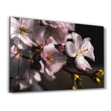 Macro Flower | Glass Wall Art