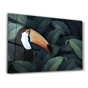 Toucan Parrot | Glass Wall Art - Artdesigna