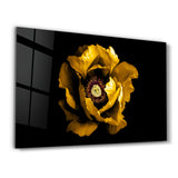 Yellow Rose 2 | Glass Wall Art