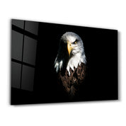 Eagle 1 | Glass Wall Art - Artdesigna