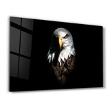 Eagle 1 | Glass Wall Art