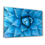 Azure Agave | Glass Wall Art