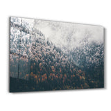 Forest | Glass Wall Art