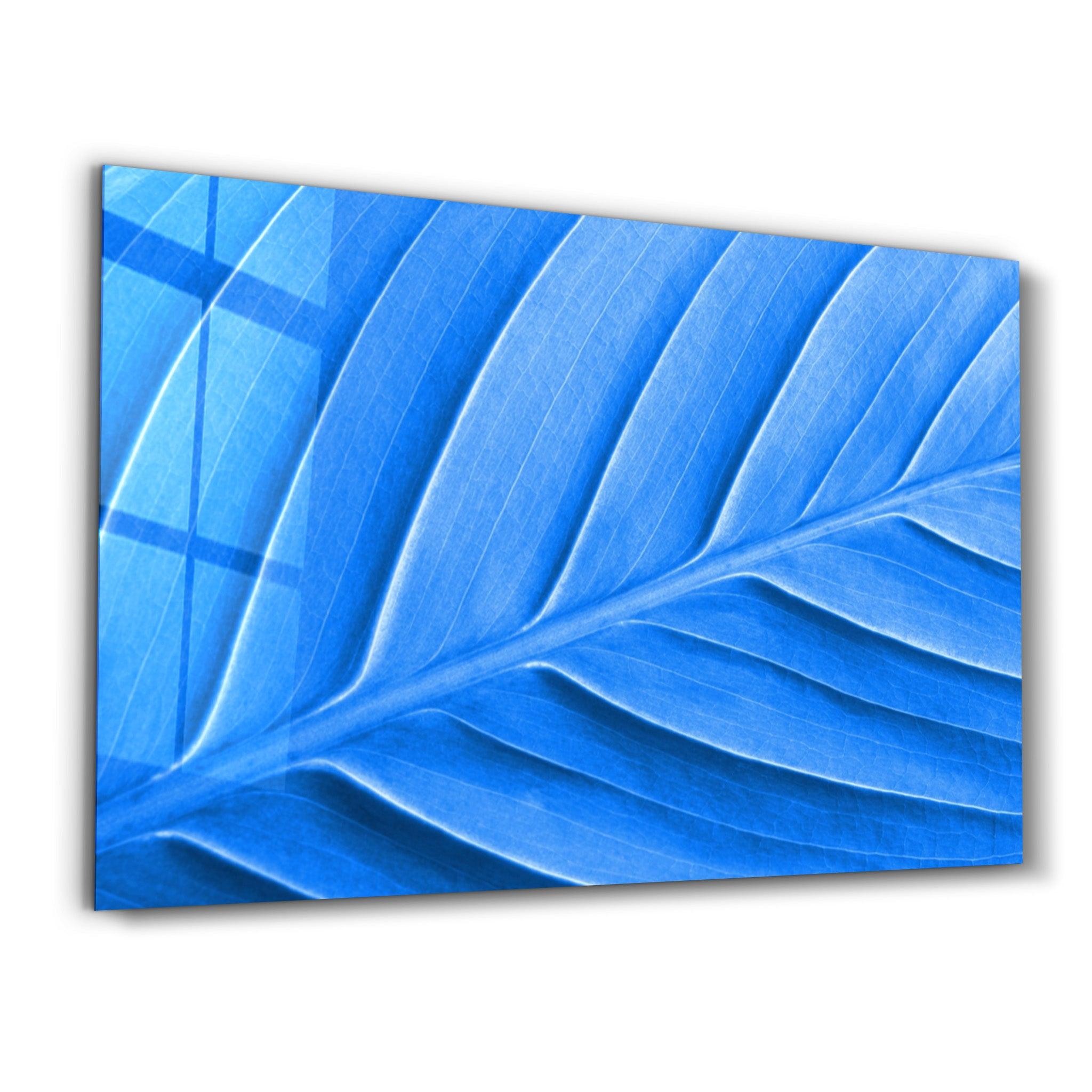 Blue Leaf | Glass Wall Art - Artdesigna