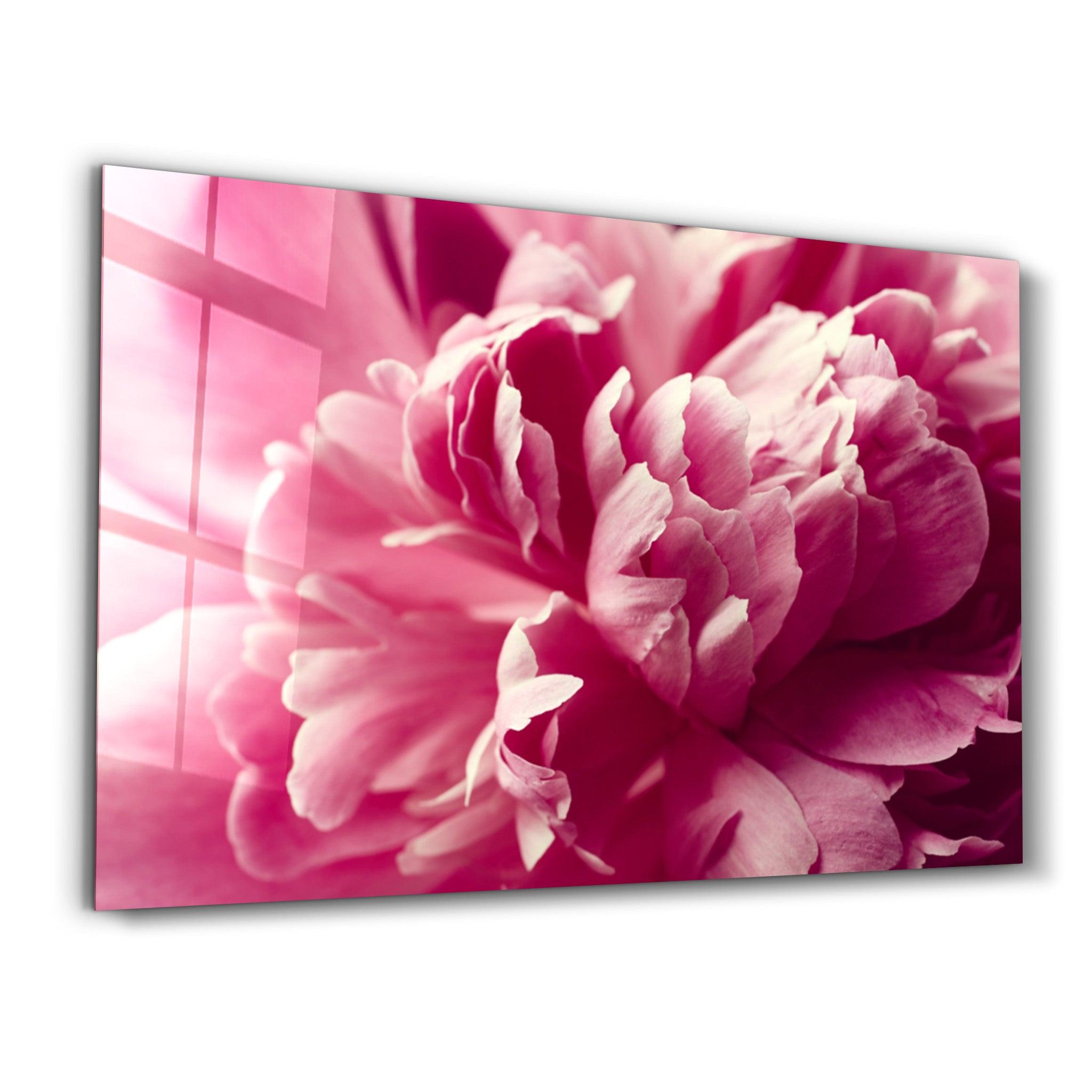 Pinkflow | Glass Wall Art - Artdesigna