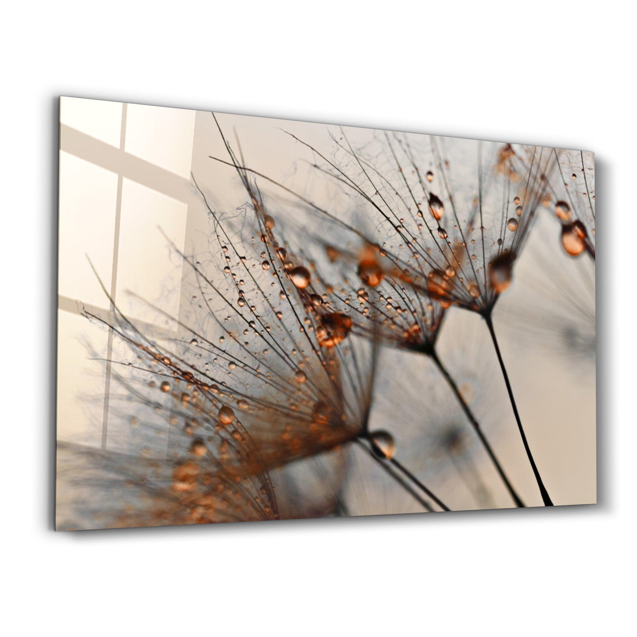 Flower Orange | Glass Wall Art - Artdesigna