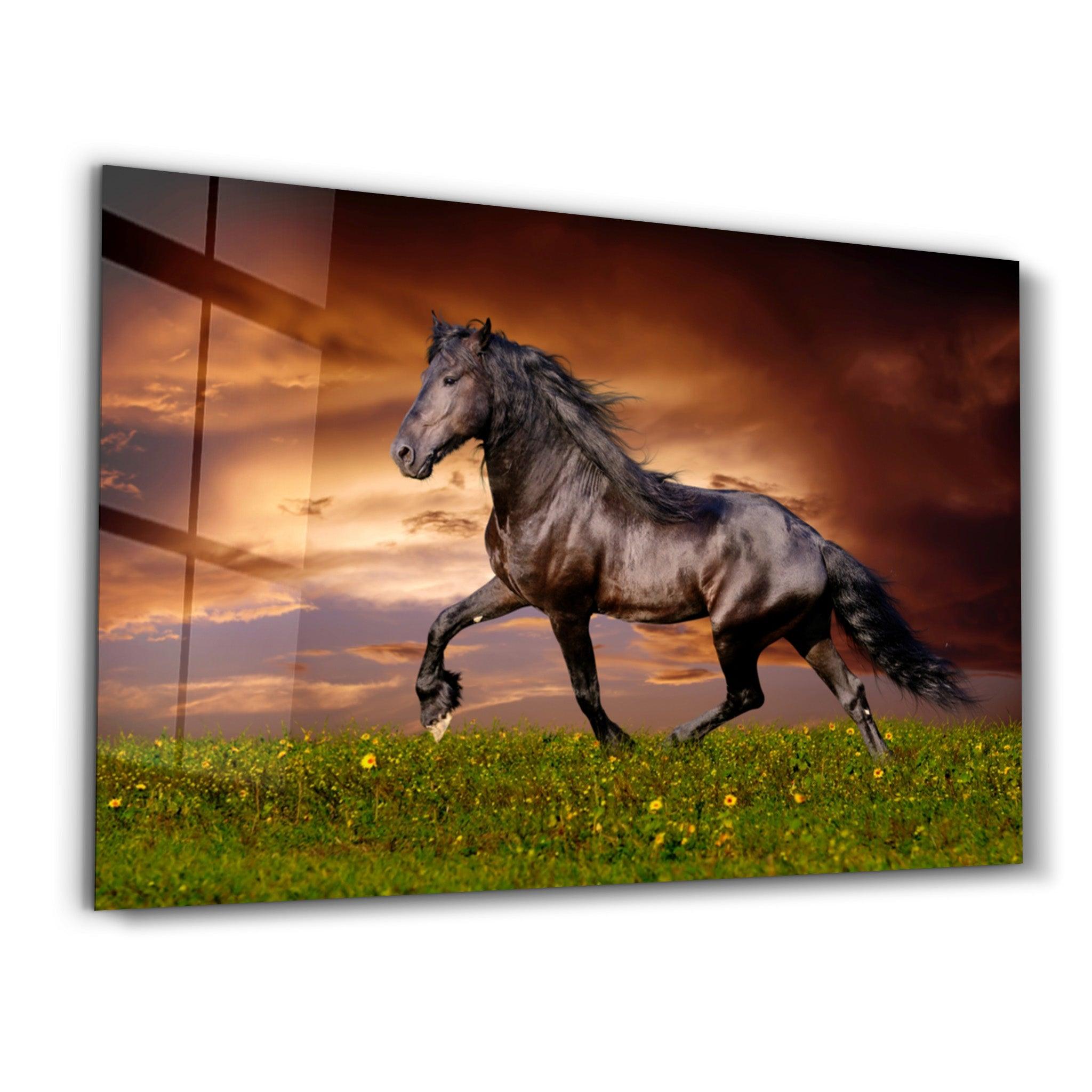 Horse in the Wind | Glass Wall Art - Artdesigna