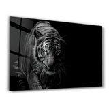 Tiger in the Black | Glass Wall Art