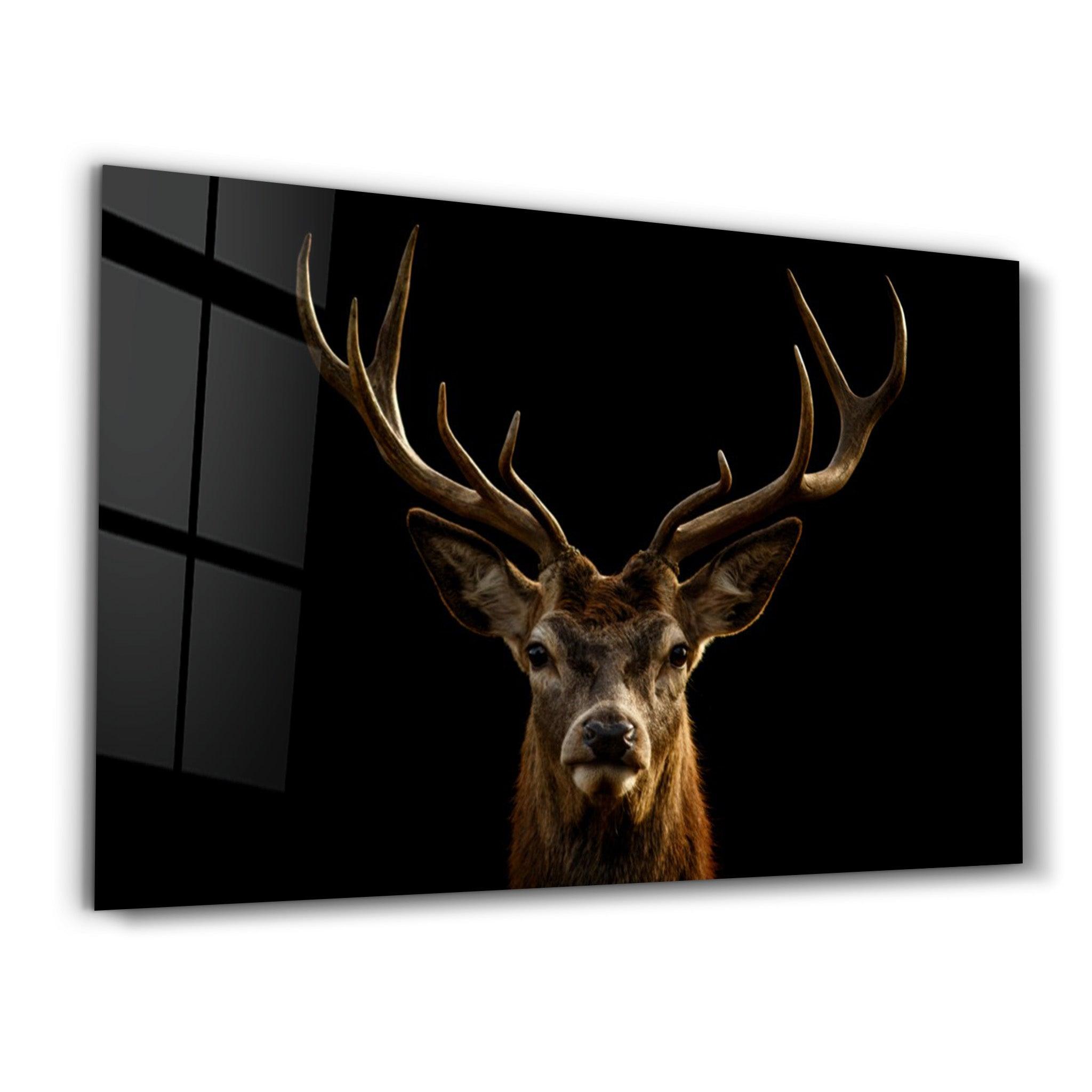 TheDeer | Glass Wall Art - Artdesigna