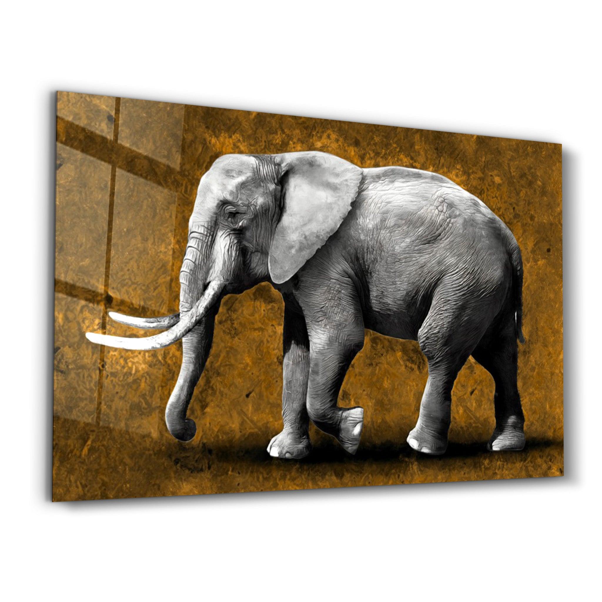 Elephant Brown | Glass Wall Art - Artdesigna