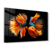 Beta Fishes | Glass Wall Art - Artdesigna