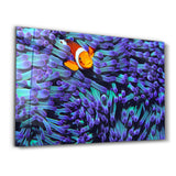 Clownfish | Glass Wall Art