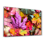 Fall & Leaves | Glass Wall Art - Artdesigna