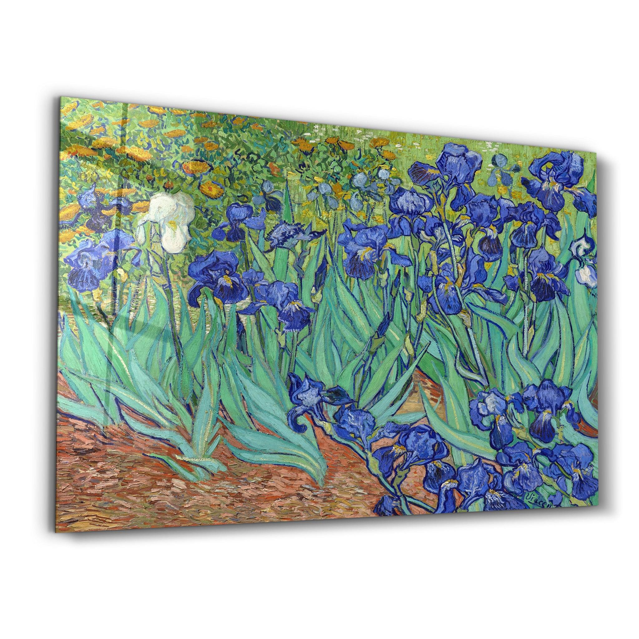 Irises (1889) by Vincent Van Gogh | Glass Wall Art - Artdesigna