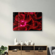 Morning Glory V2 | Glass Wall Art - Artdesigna