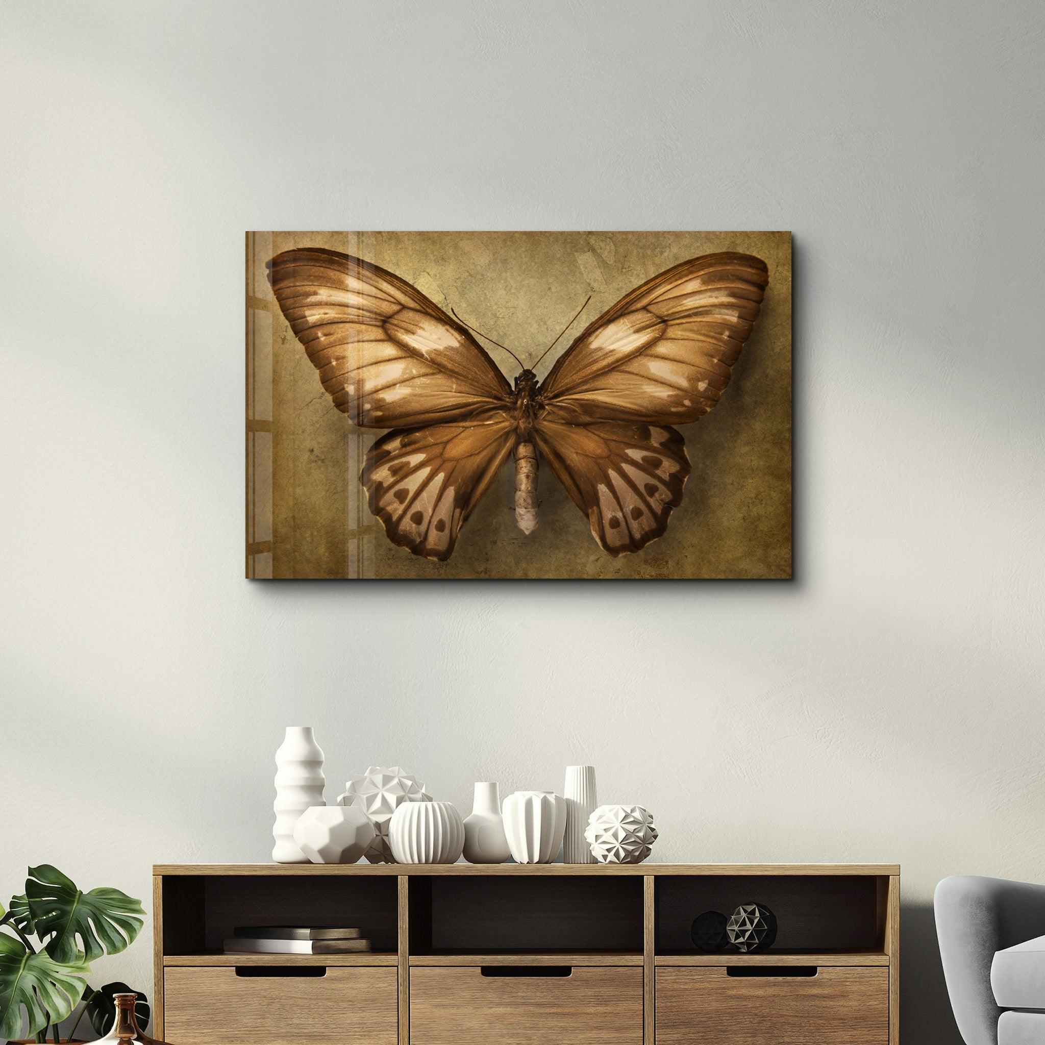 Vintage Butterfly | Glass Wall Art - Artdesigna