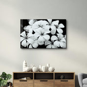 Timeless Bloom | Glass Wall Art - Artdesigna