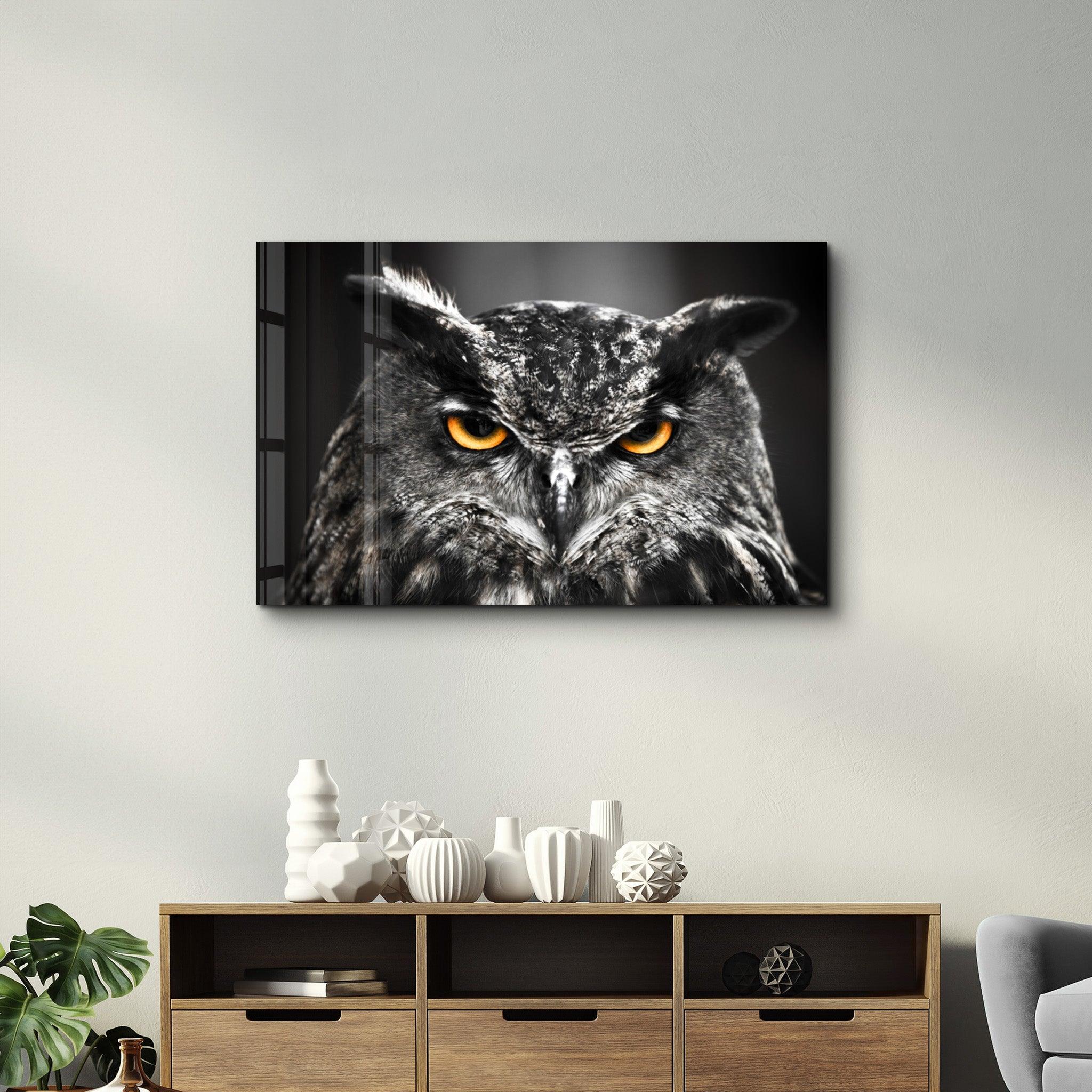 Owl | Glass Wall Art - Artdesigna