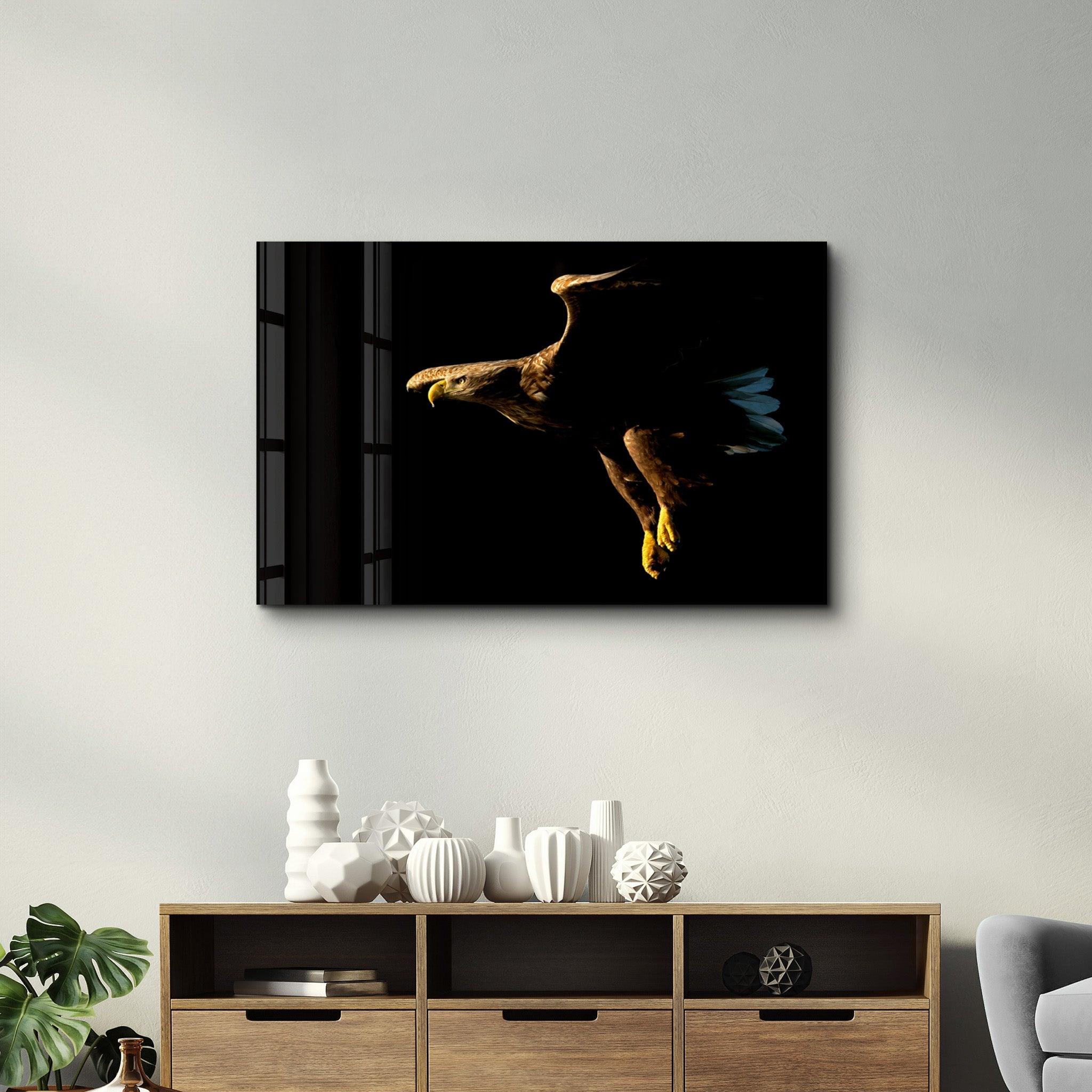 Eagle in Dark | Glass Wall Art - Artdesigna