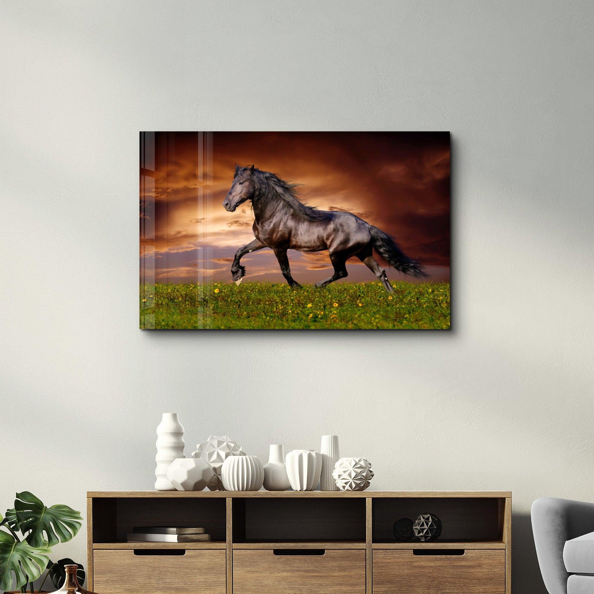 Horse in the Wind | Glass Wall Art - Artdesigna