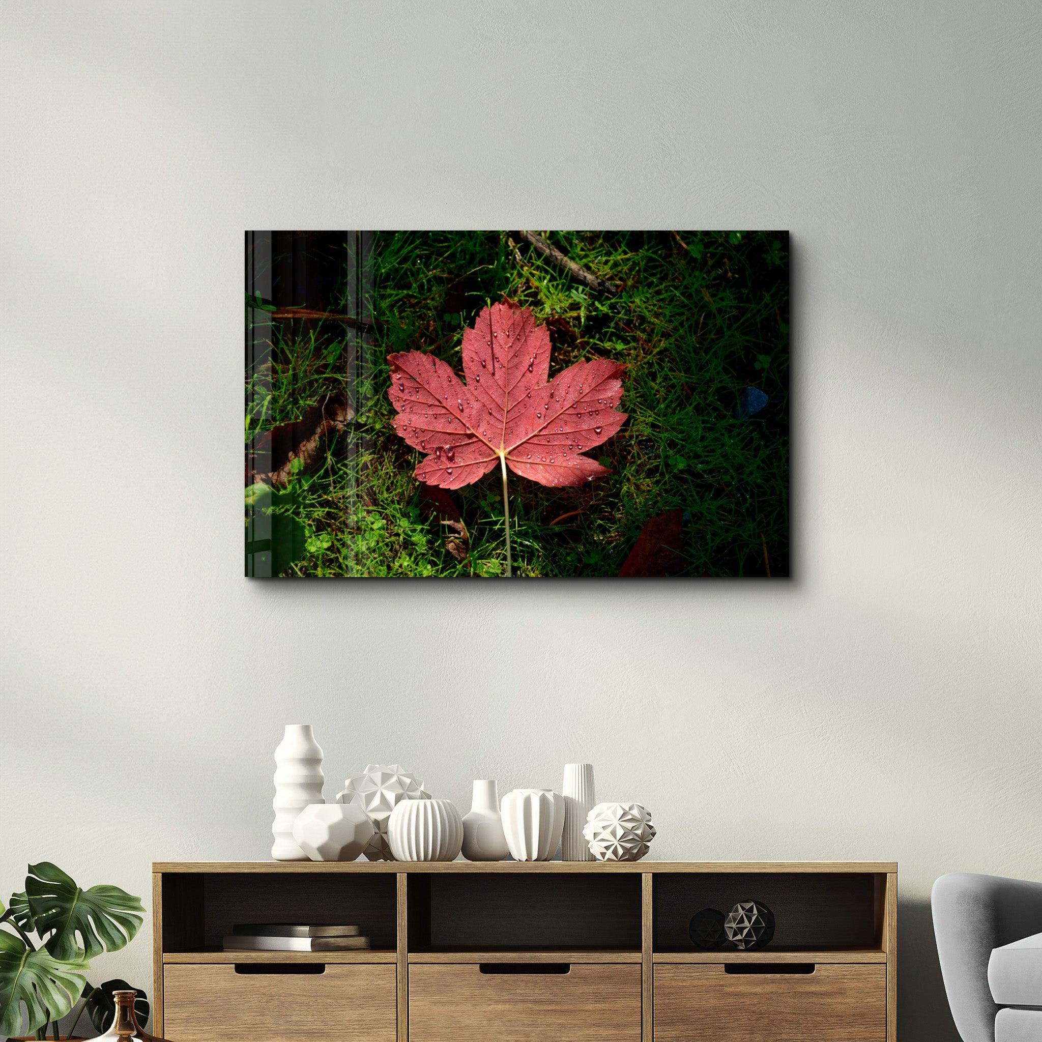 Plane Leaf | Glass Wall Art - Artdesigna