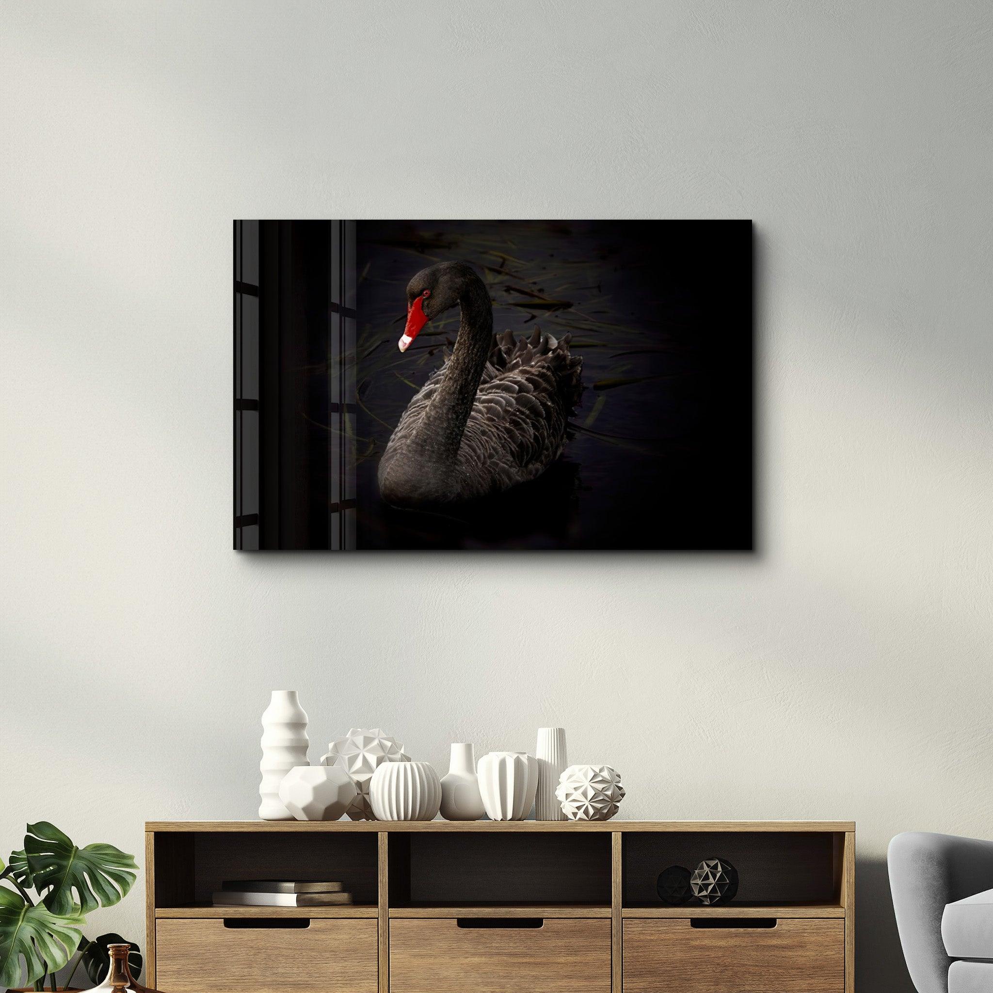 Black Goose | Glass Wall Art - Artdesigna