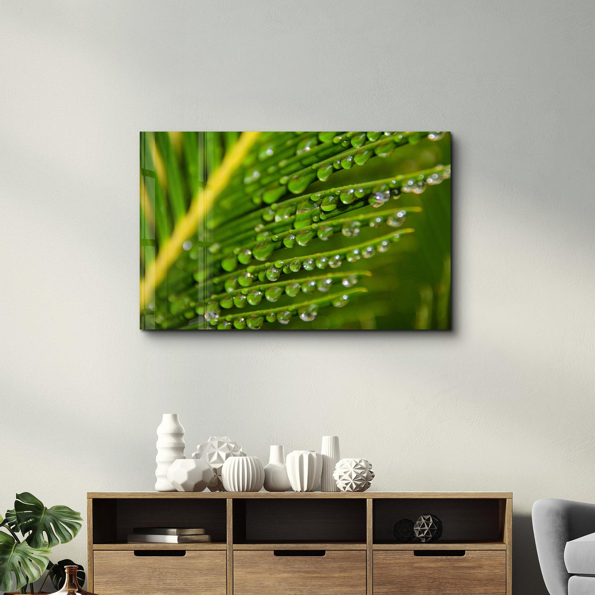 Green Leaves with Water Drops | Glass Wall Art - Artdesigna