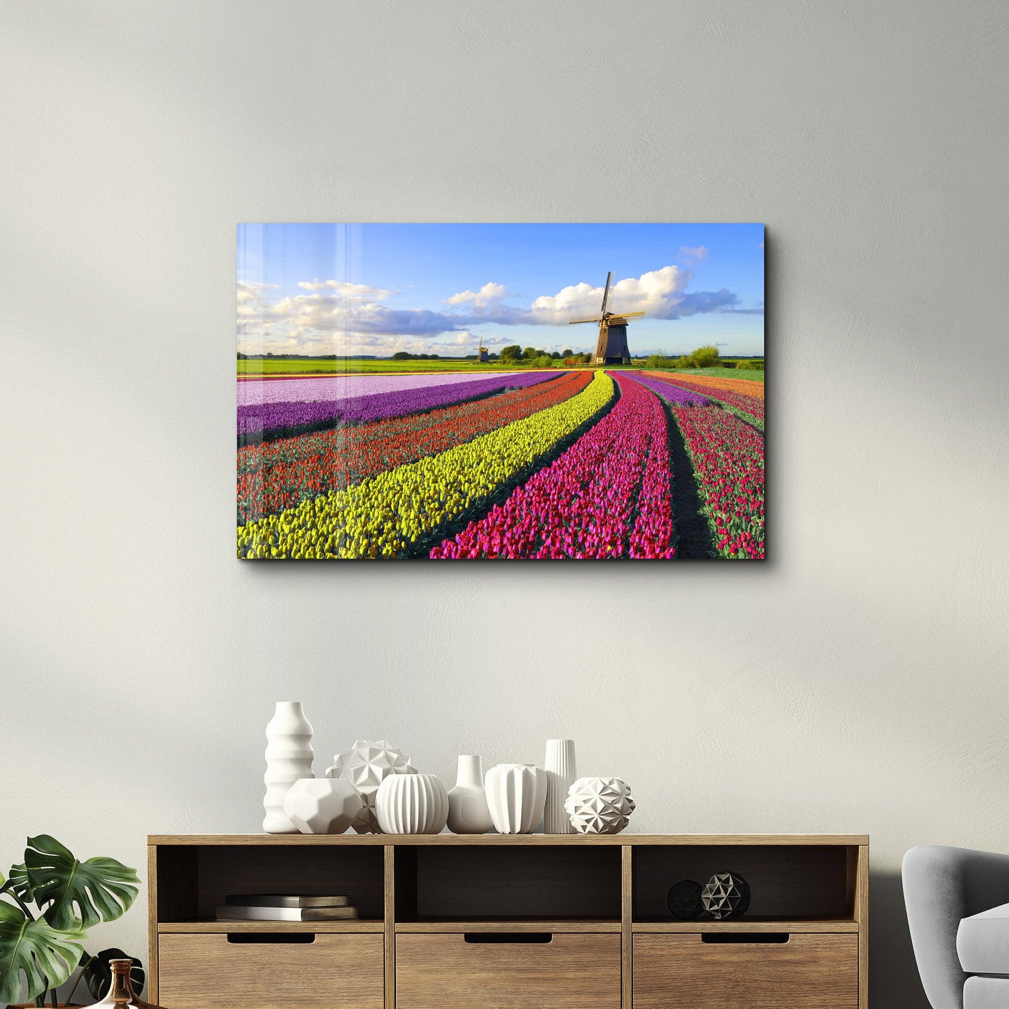 Tulips Of Amsterdam | Glass Wall Art - Artdesigna