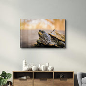 Striped Turtle | Glass Wall Art - Artdesigna