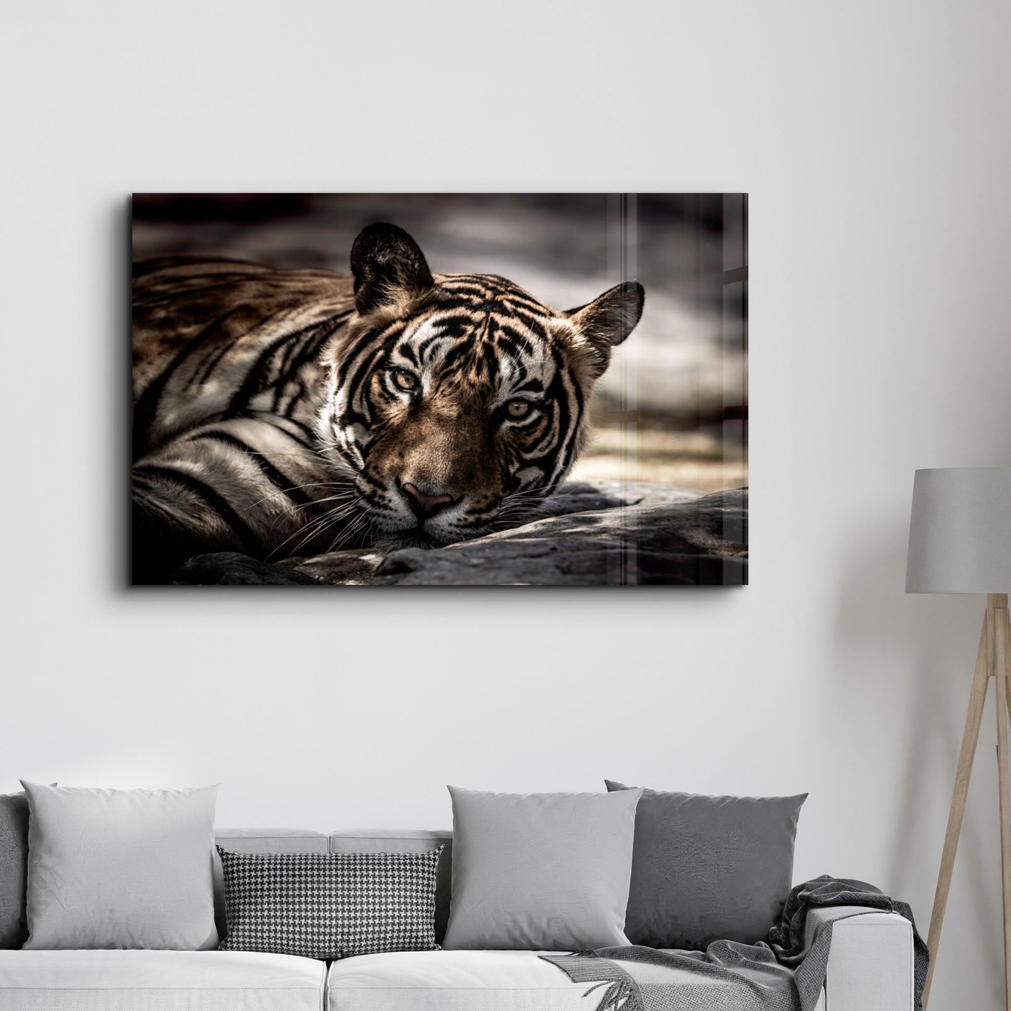 Tired Tiger | Glass Wall Art - Artdesigna