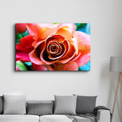 Floribunda Rose | Glass Wall Art - Artdesigna