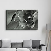 White&Gray Flower | Glass Wall Art - Artdesigna