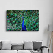 The Peacock | Glass Wall Art - Artdesigna