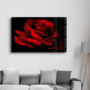 Red Rose | Glass Wall Art - Artdesigna